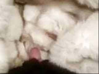 cumshot fur